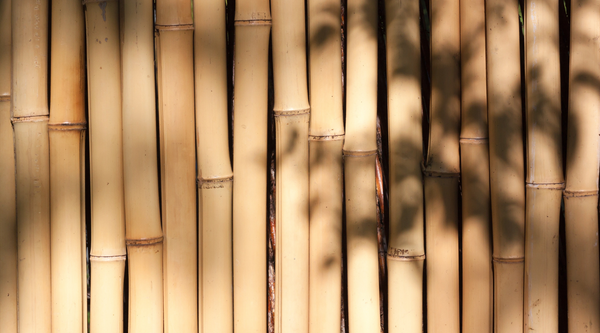 banner-bamboo-collection-blog-yosmo
